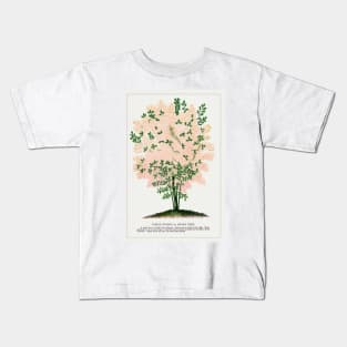 Purple Fringe Tree lithograph (1900) Kids T-Shirt